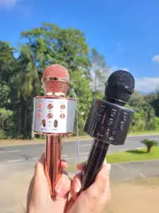Microfones Portáteis